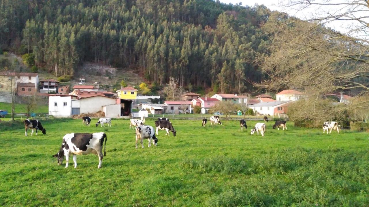 Hotel Casa Vieja Del Sastre Soto de Luiña Exteriér fotografie